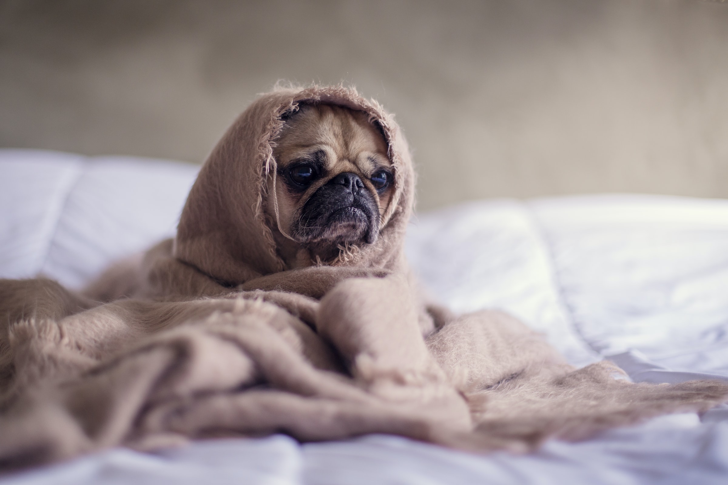 10 Tips for Sleep